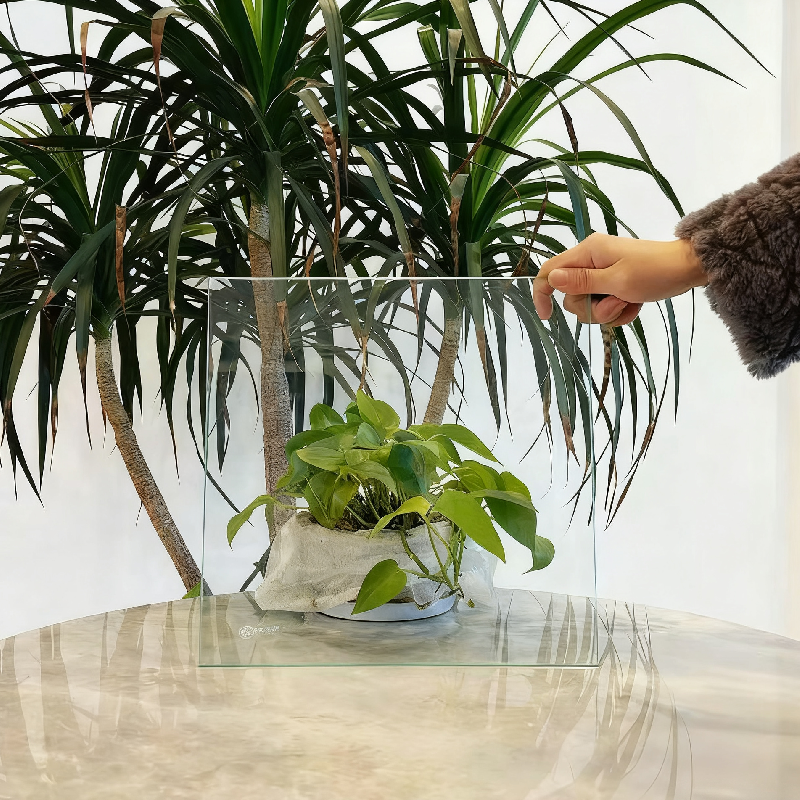 新建项目 (1) 12MM LOW IRON GLASS (SUPER CLEAR) - Image 1